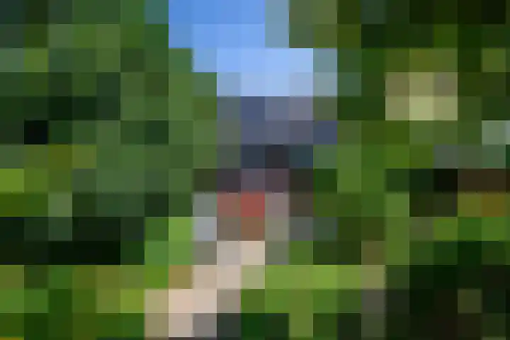Pastoor Vonckenstraat 27 Geleen thumbnail 5