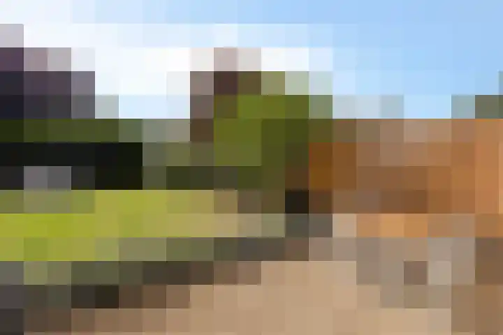 Pastoor Vonckenstraat 57 Geleen thumbnail 4