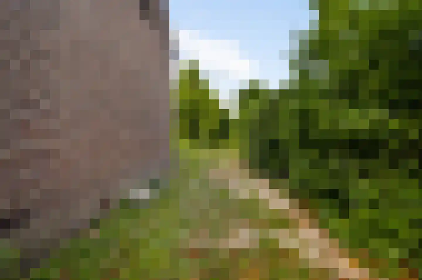 Pastoor Vranckenlaan 76 Reuver thumbnail 24