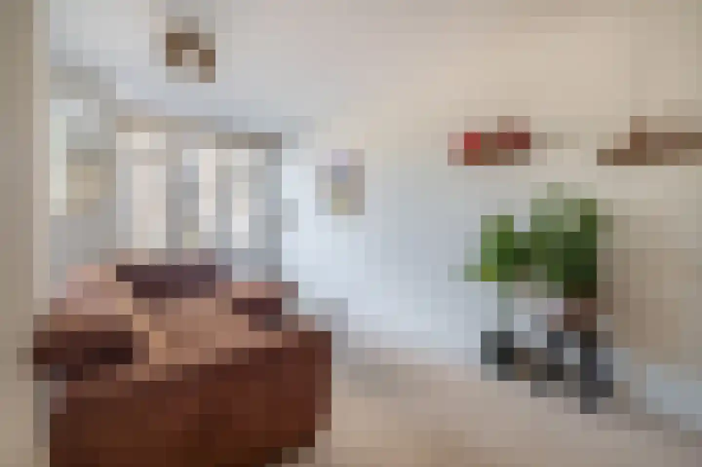 Pastoor Vranckenlaan 9 Reuver thumbnail 10