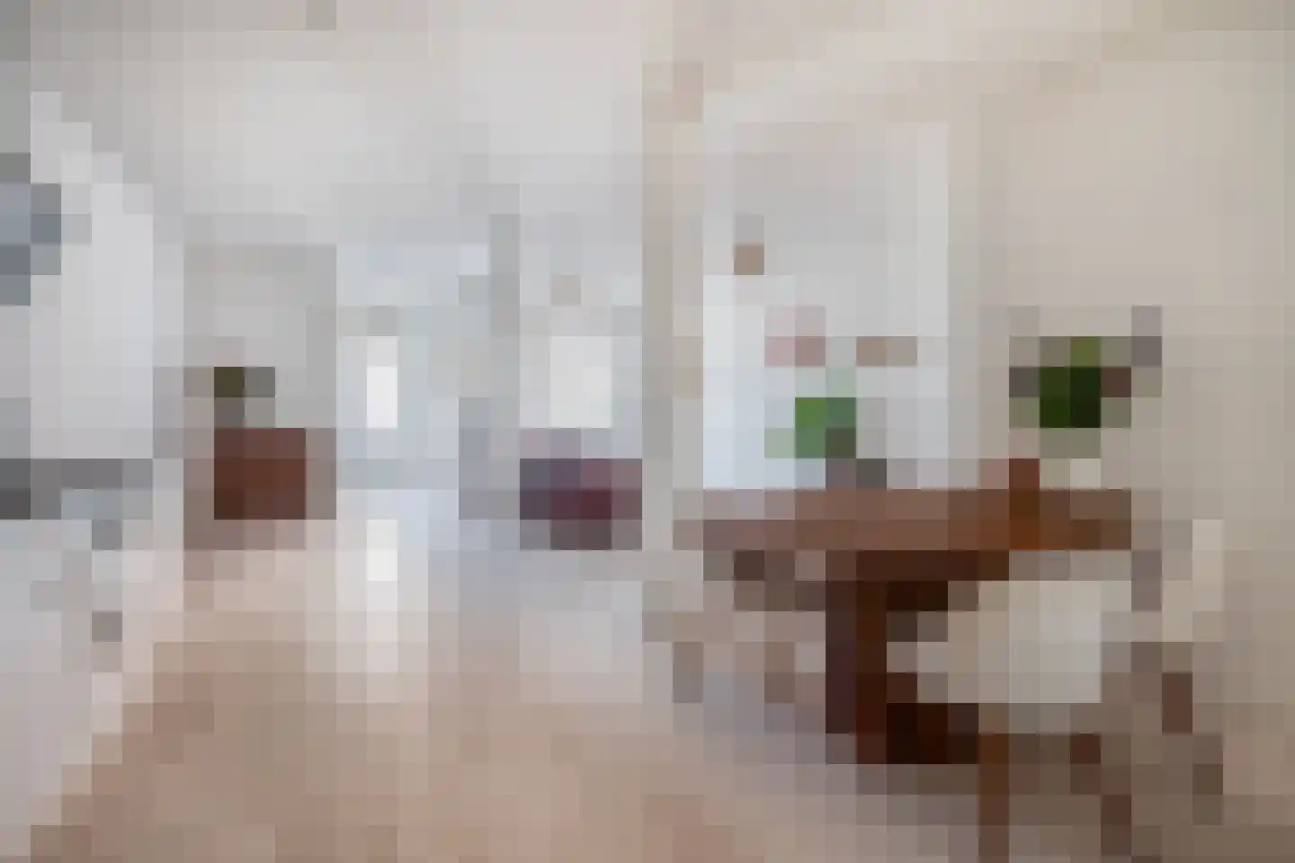 Pastoor Vranckenlaan 9 Reuver thumbnail 12