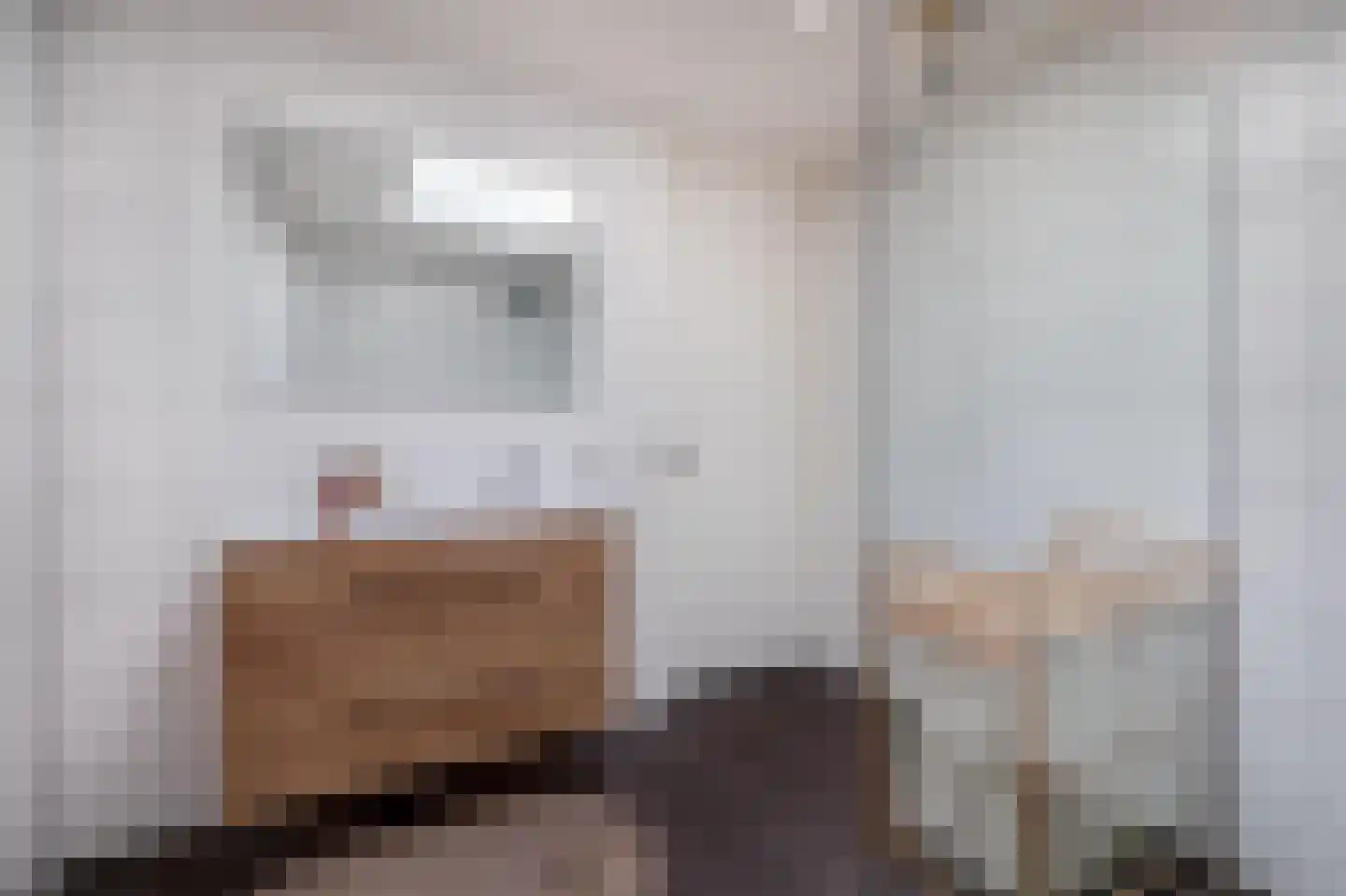 Pastoor Vranckenlaan 9 Reuver thumbnail 19