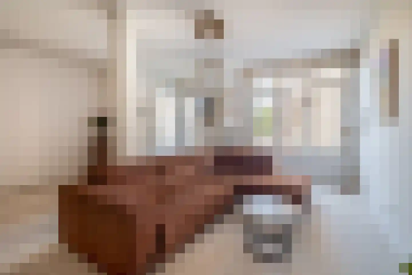 Pastoor Vranckenlaan 9 Reuver thumbnail 8