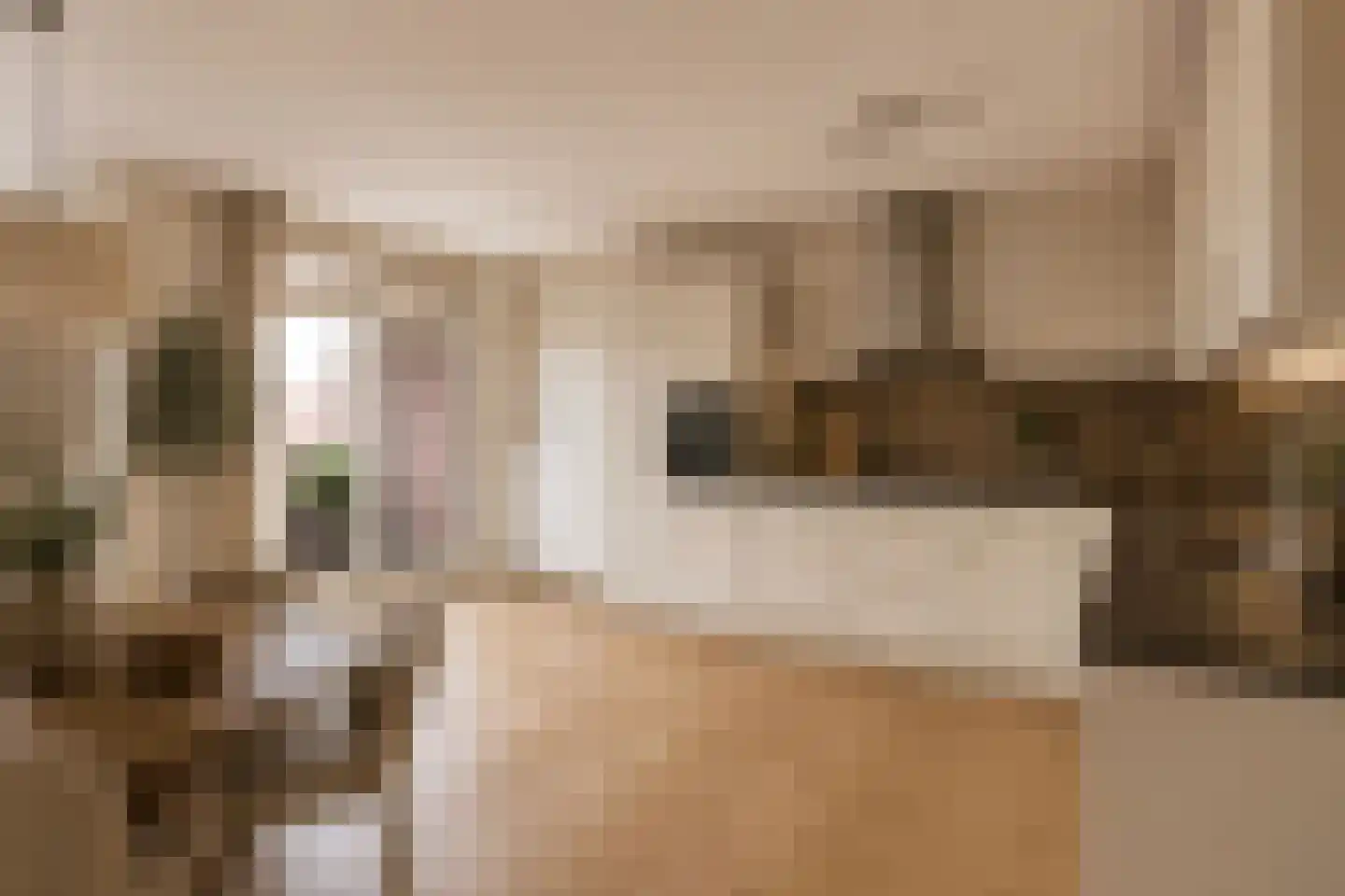 Pastoor Vredendaalpad 5 Tubbergen thumbnail 13