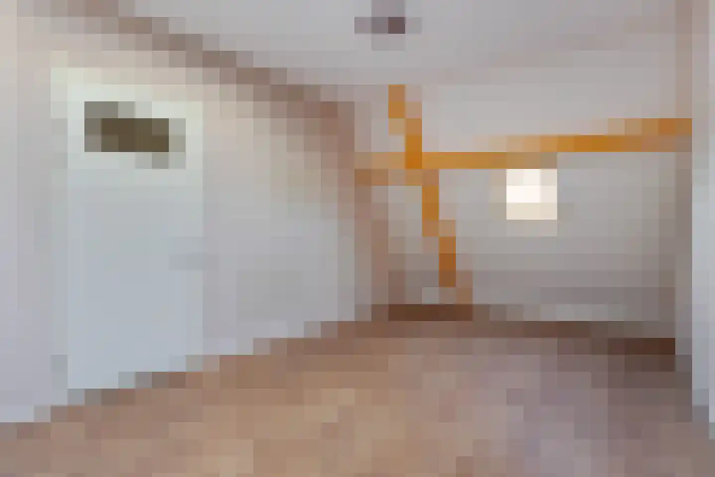 Pastoor Vredendaalpad 5 Tubbergen thumbnail 16