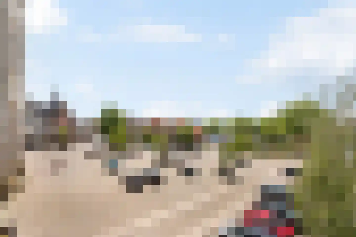 Pastoor Vredendaalpad 5 Tubbergen thumbnail 23