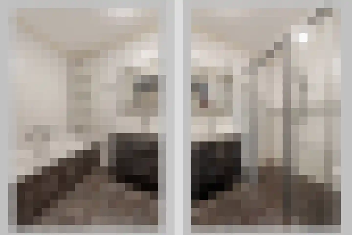 Pastoor Vredendaalpad 5 Tubbergen thumbnail 4