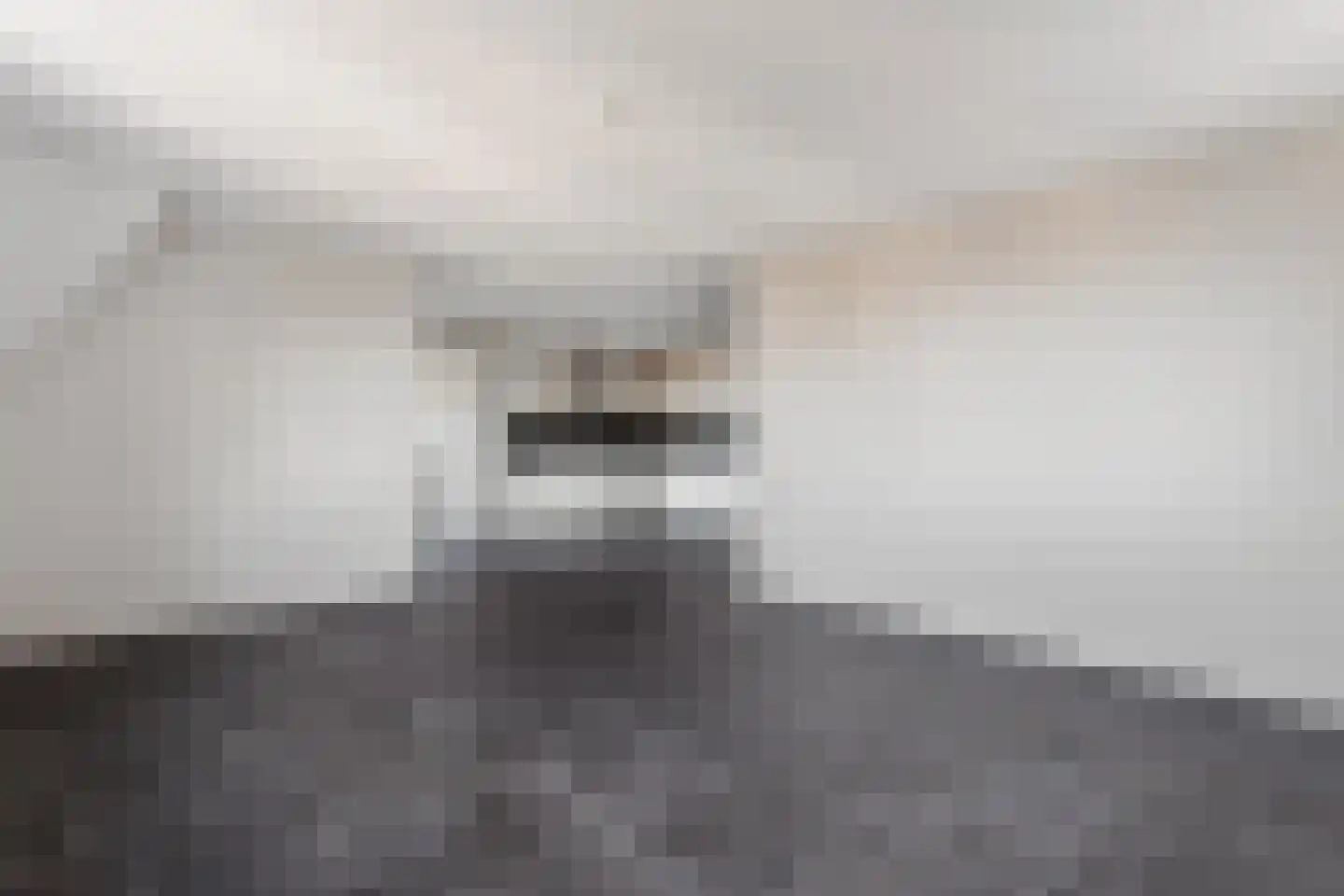 Pastoor Vredendaalpad 5 Tubbergen thumbnail 8