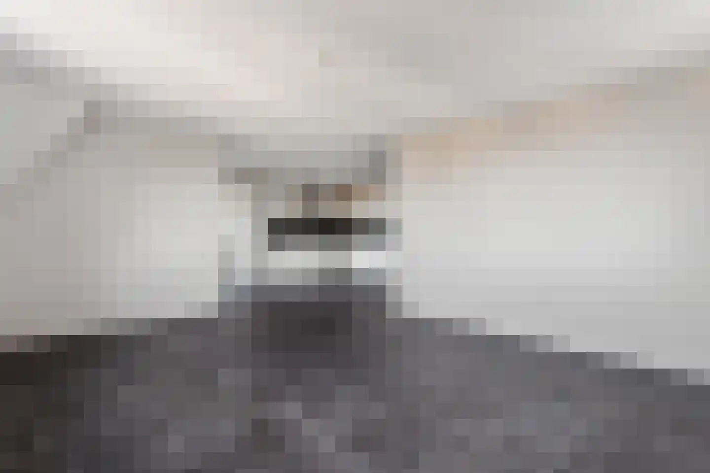 Pastoor Vredendaalpad 5 Tubbergen thumbnail 8