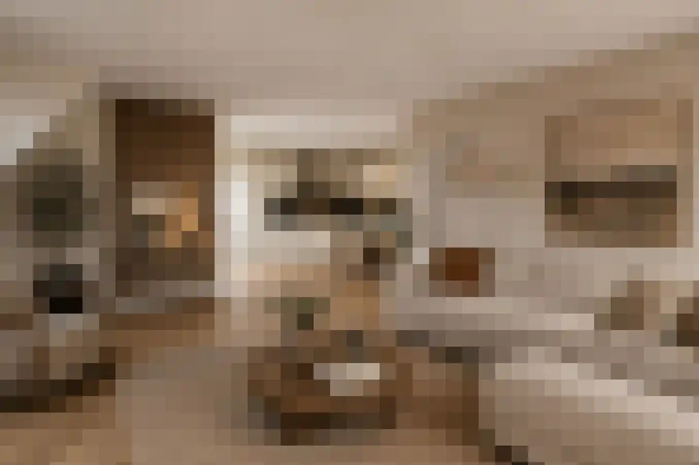 Pastoor Vredendaalpad 5 Tubbergen thumbnail 9