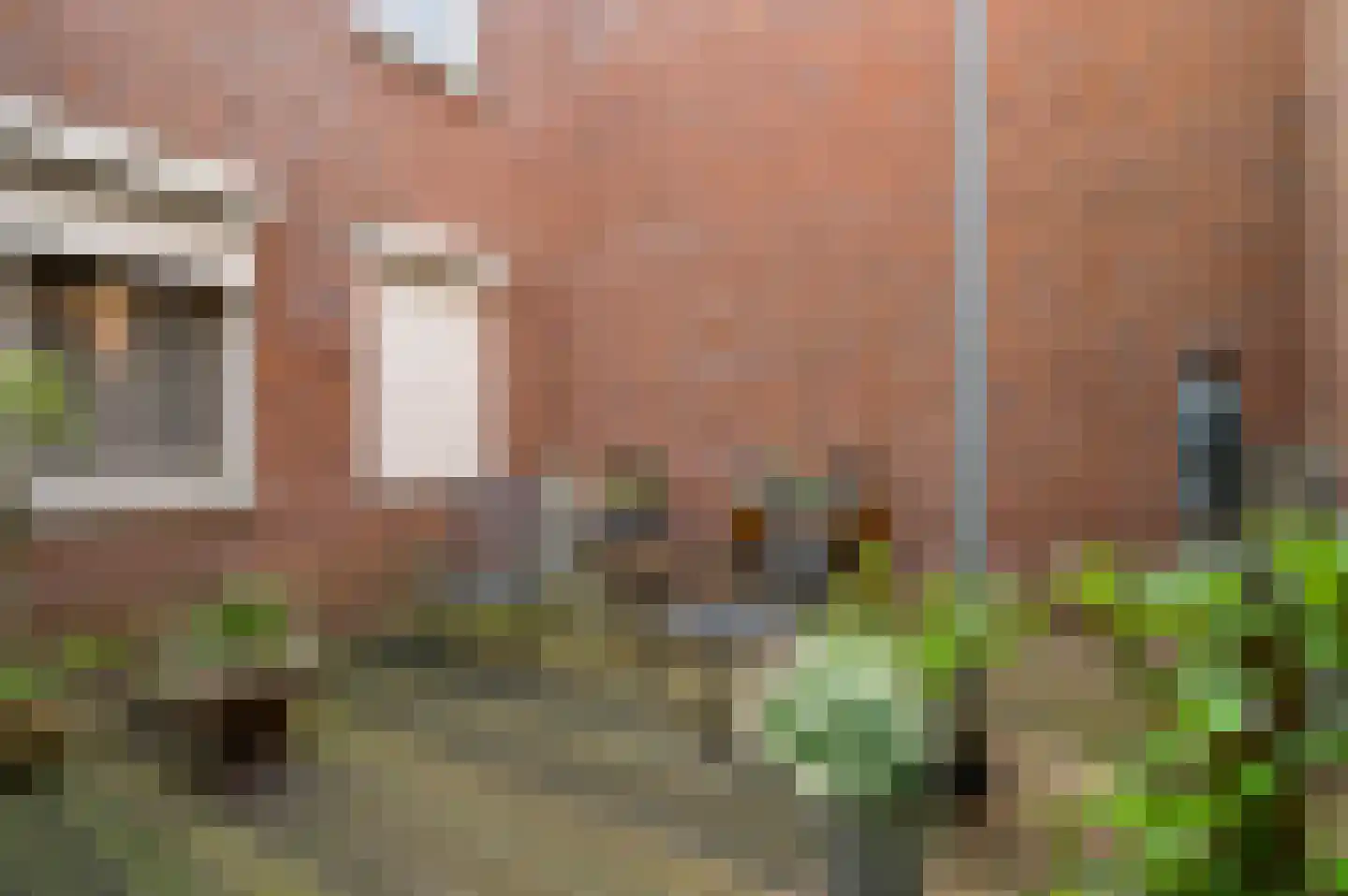 Pastoor Vullinghsstraat 69 Sevenum thumbnail 10