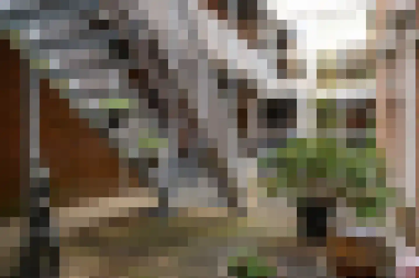 Pastoor Vullinghsstraat 69 Sevenum thumbnail 11