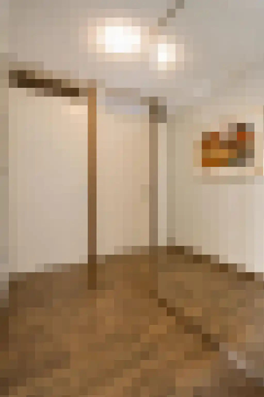 Pastoor Vullinghsstraat 69 Sevenum thumbnail 15