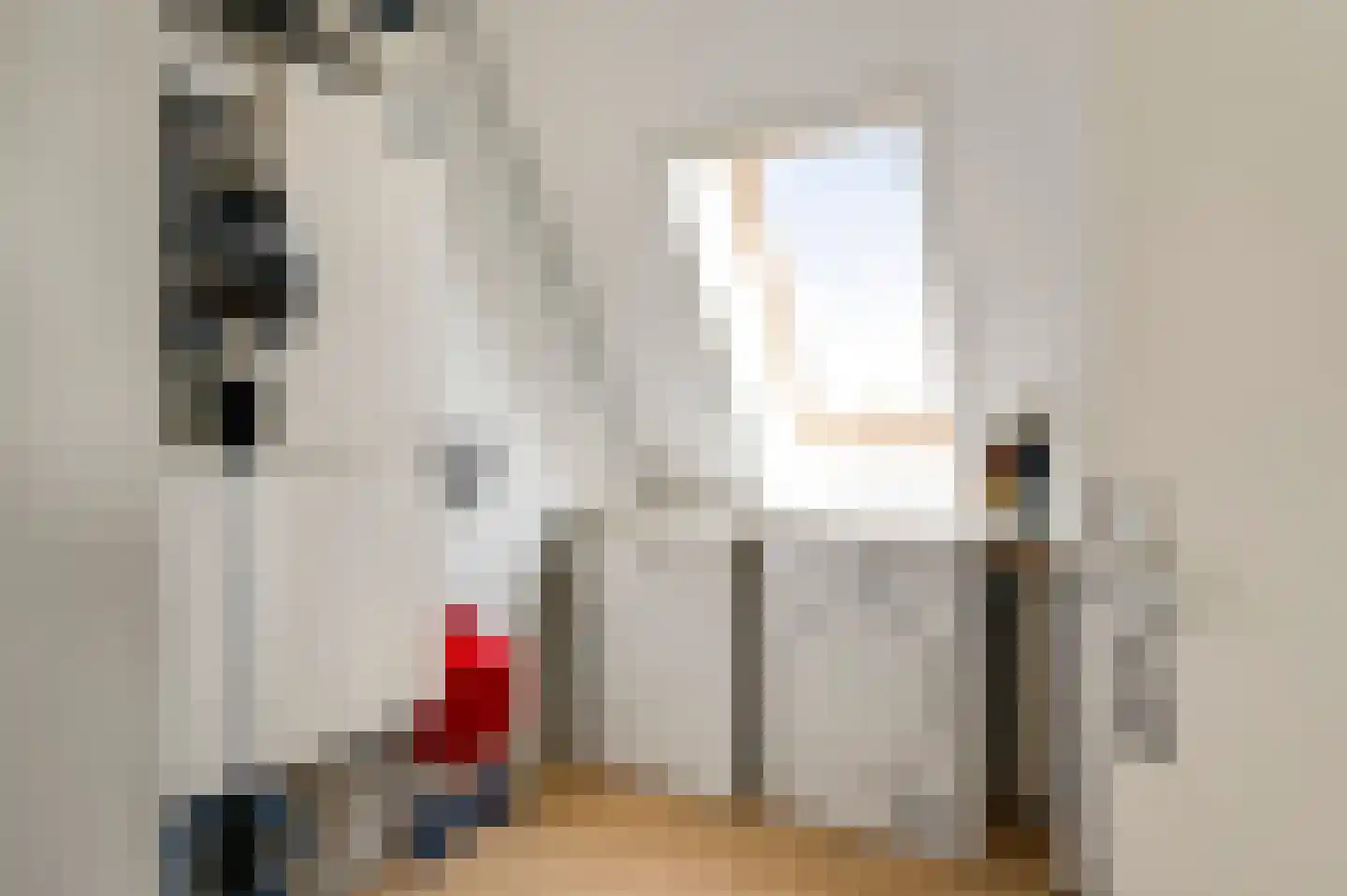 Pastoor Vullinghsstraat 69 Sevenum thumbnail 33
