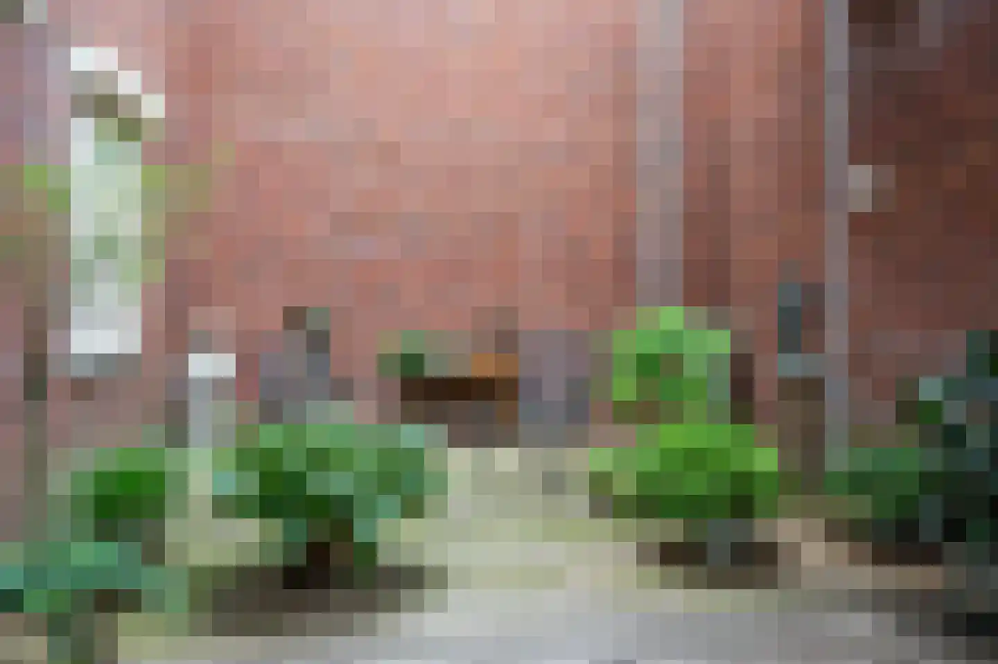 Pastoor Vullinghsstraat 69 Sevenum thumbnail 36