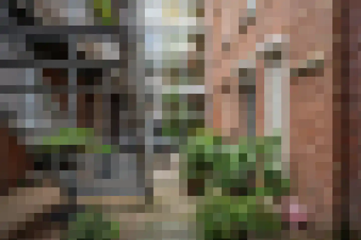 Pastoor Vullinghsstraat 69 Sevenum thumbnail 37