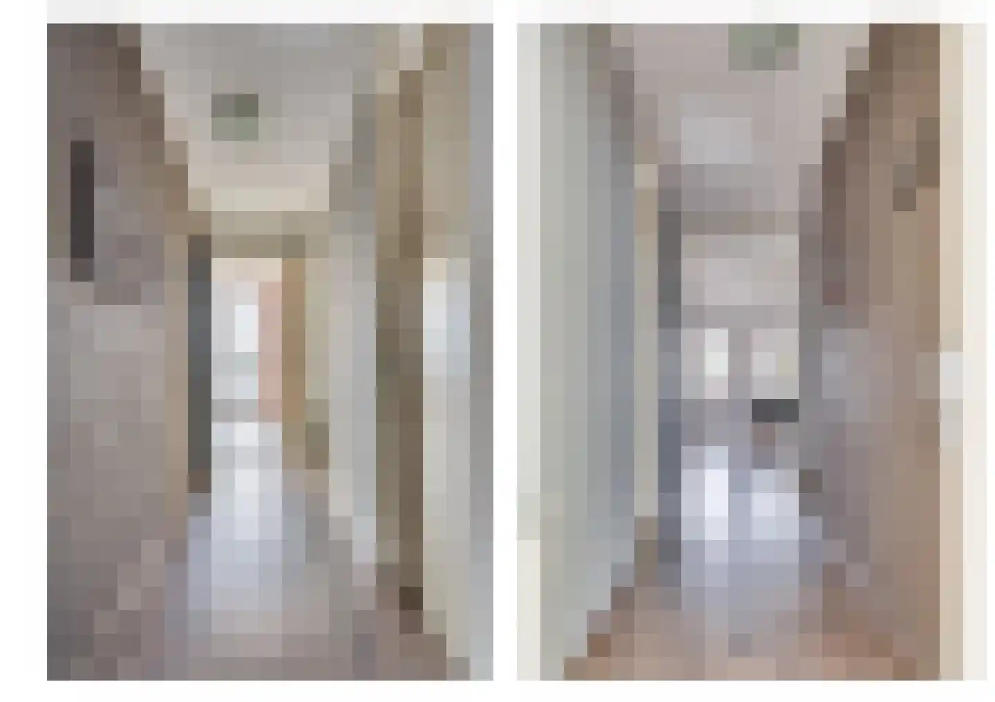 Pastoor Vullinghsstraat 69 Sevenum thumbnail 4
