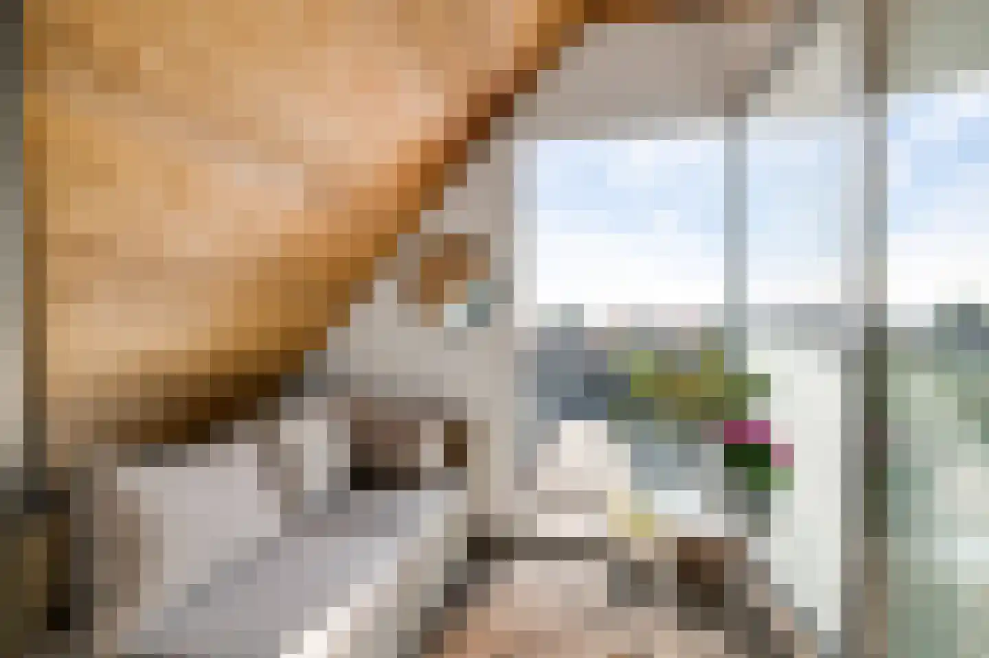 Pastoor Vullinghsstraat 69 Sevenum thumbnail 4