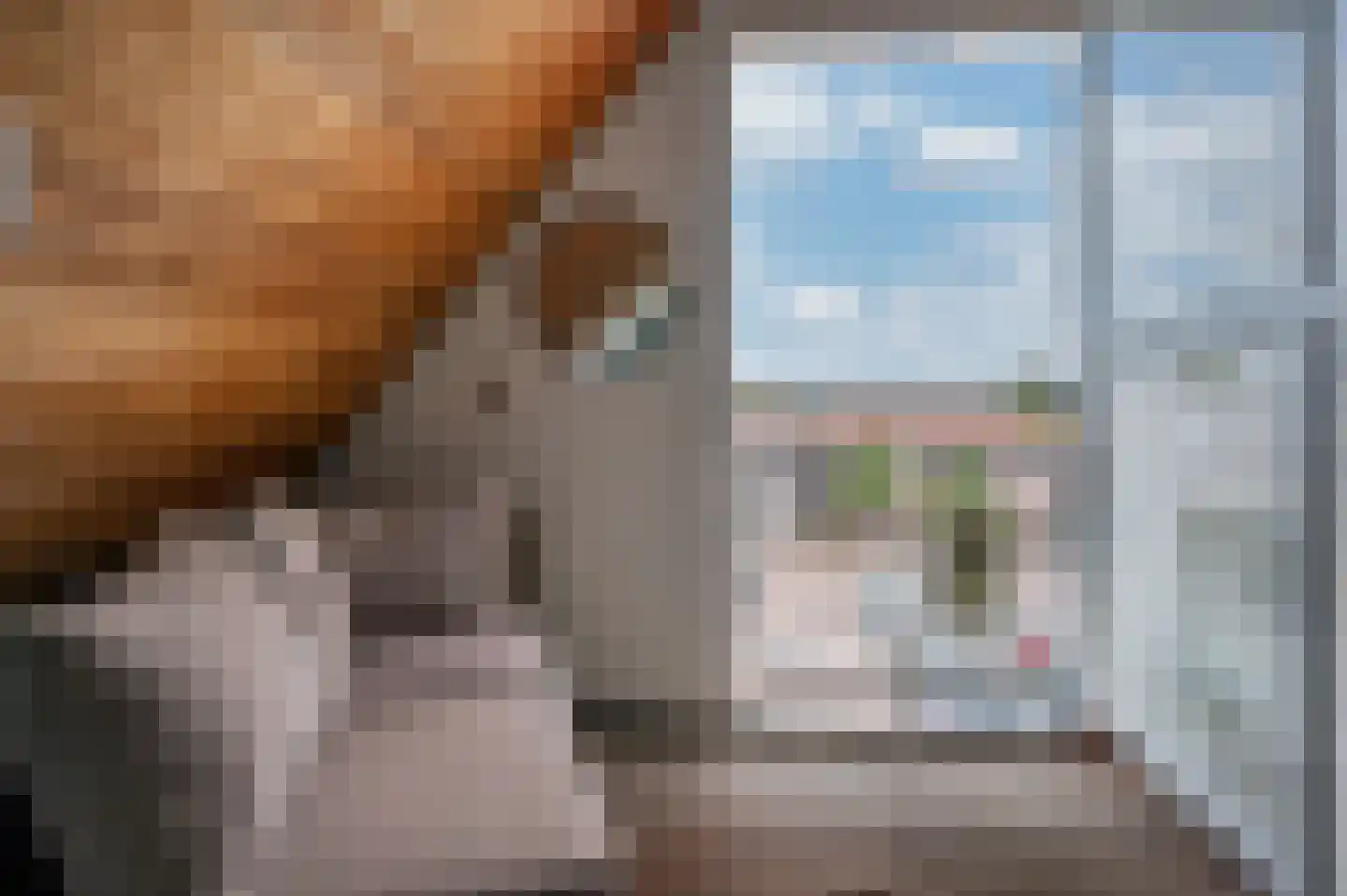 Pastoor Vullinghsstraat 69 Sevenum thumbnail 9