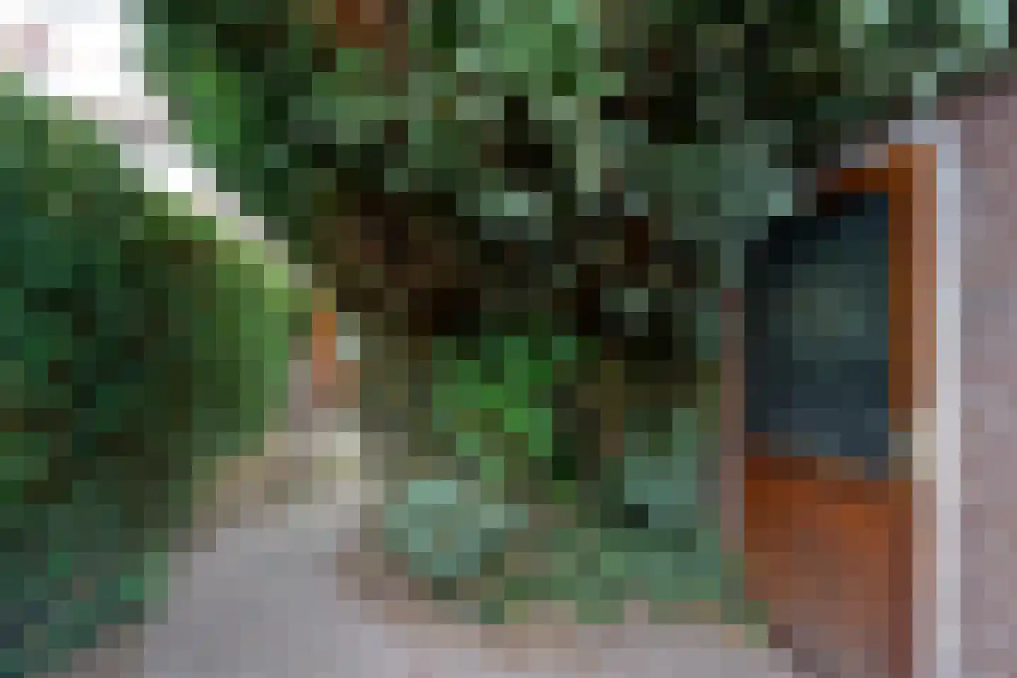 Pastoor Wichersstraat 31 Nijmegen thumbnail 20