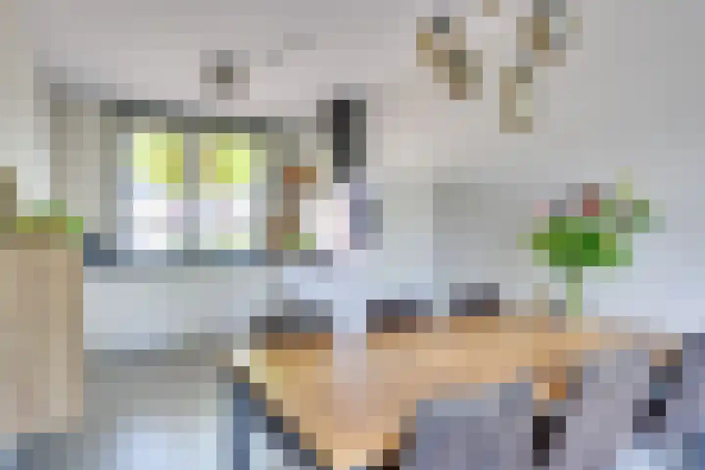 Pastoor Wichmanshof 1 Helmond thumbnail 5