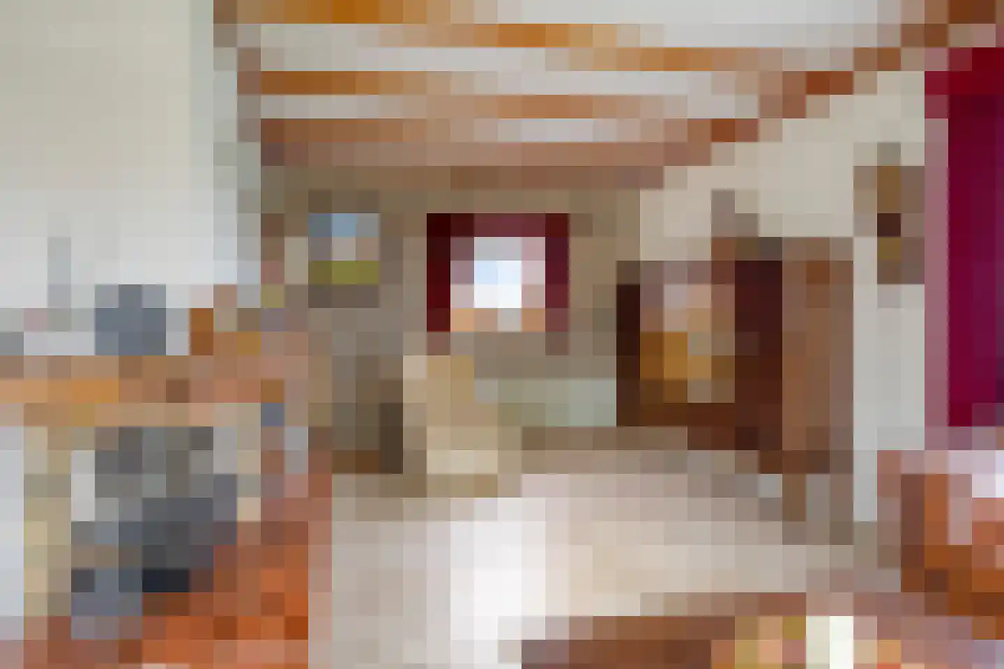 Pastoor Wienholtsstraat 37 Haaksbergen thumbnail 11