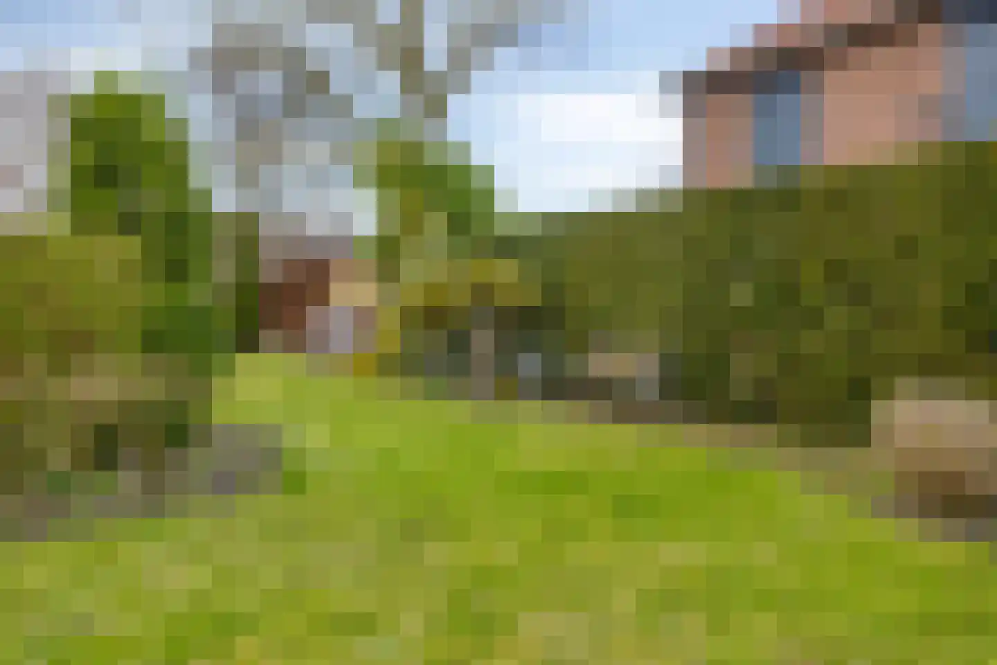 Pastoor Wienholtsstraat 37 Haaksbergen thumbnail 36