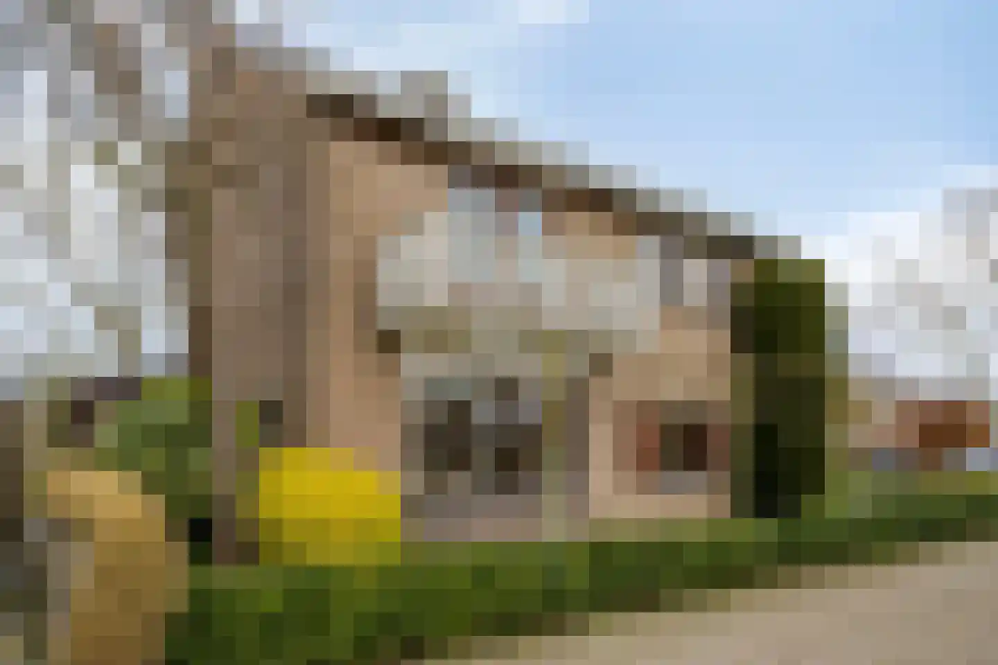 Pastoor Wienholtsstraat 37 Haaksbergen thumbnail 38