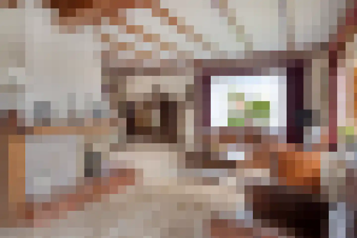 Pastoor Wienholtsstraat 37 Haaksbergen thumbnail 8