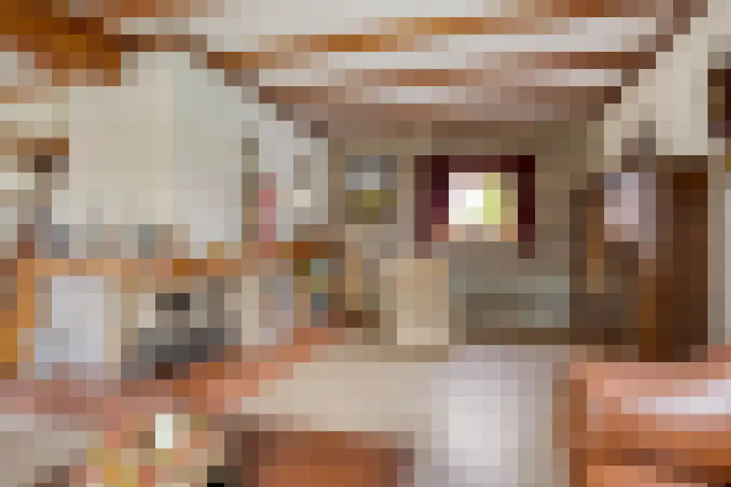 Pastoor Wienholtsstraat 37 Haaksbergen thumbnail 9