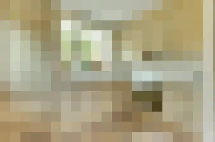 Pastoor Wienholtsstraat 54 Haaksbergen thumbnail 8