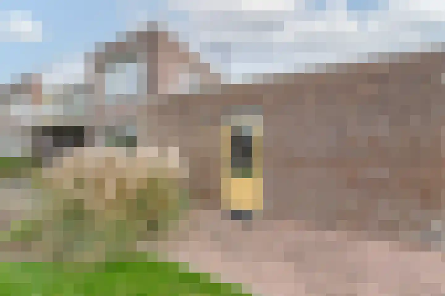 Pastoor Willemsestraat 10 Warmenhuizen thumbnail 30