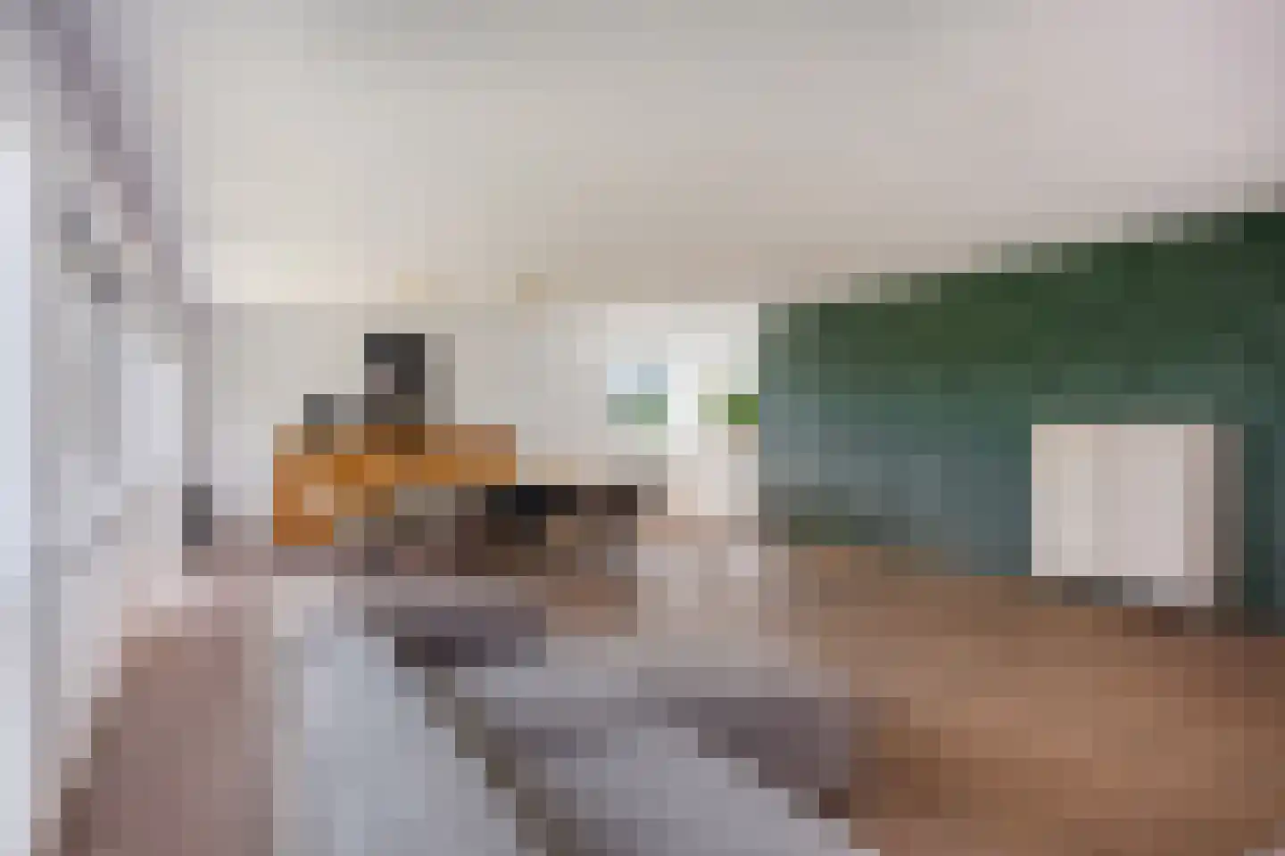 Pastoor Willemsestraat 92 Warmenhuizen thumbnail 13