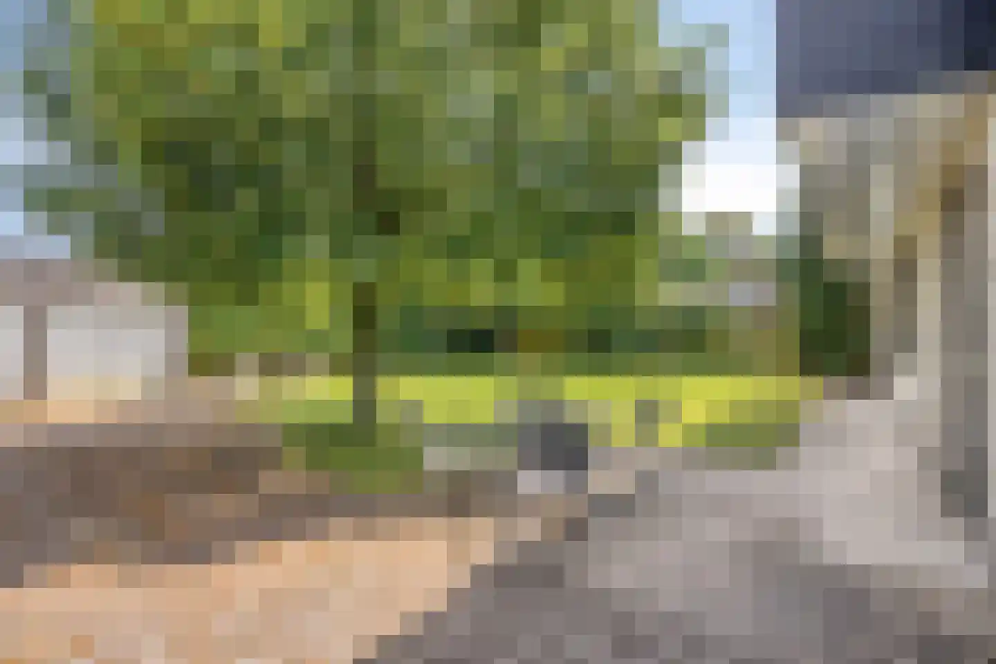 Pastoor Willemsestraat 92 Warmenhuizen thumbnail 37