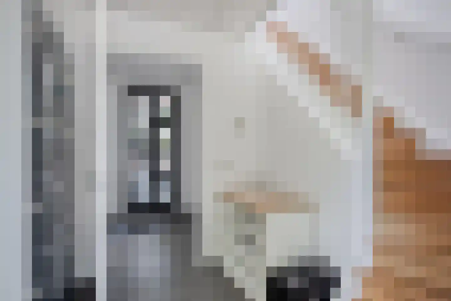 Pastoor Willemsestraat 92 Warmenhuizen thumbnail 9