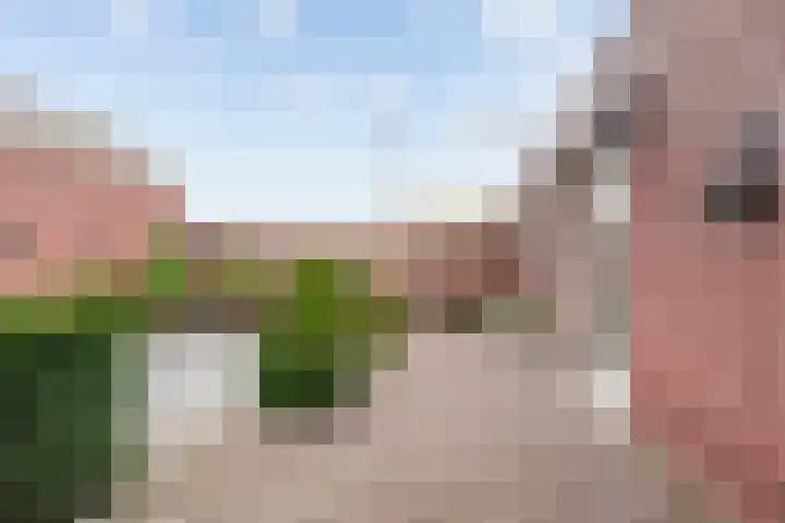 Pastoor Willemspad 1 Sint Anthonis thumbnail 29