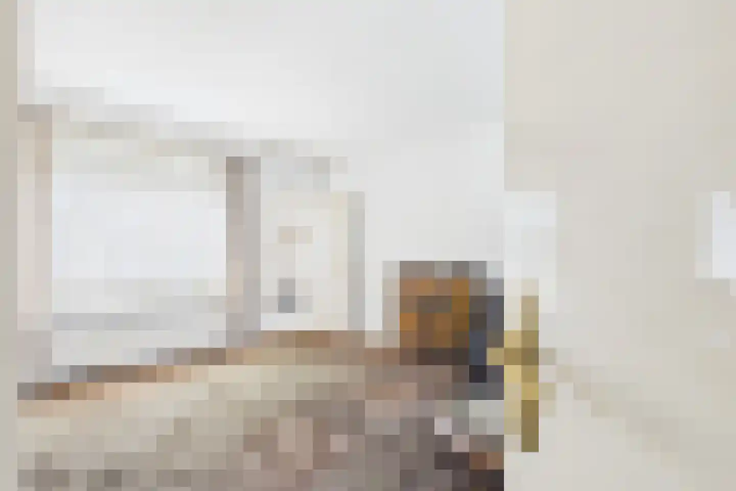 Pastoor Willemsstraat 2 Lamswaarde thumbnail 9