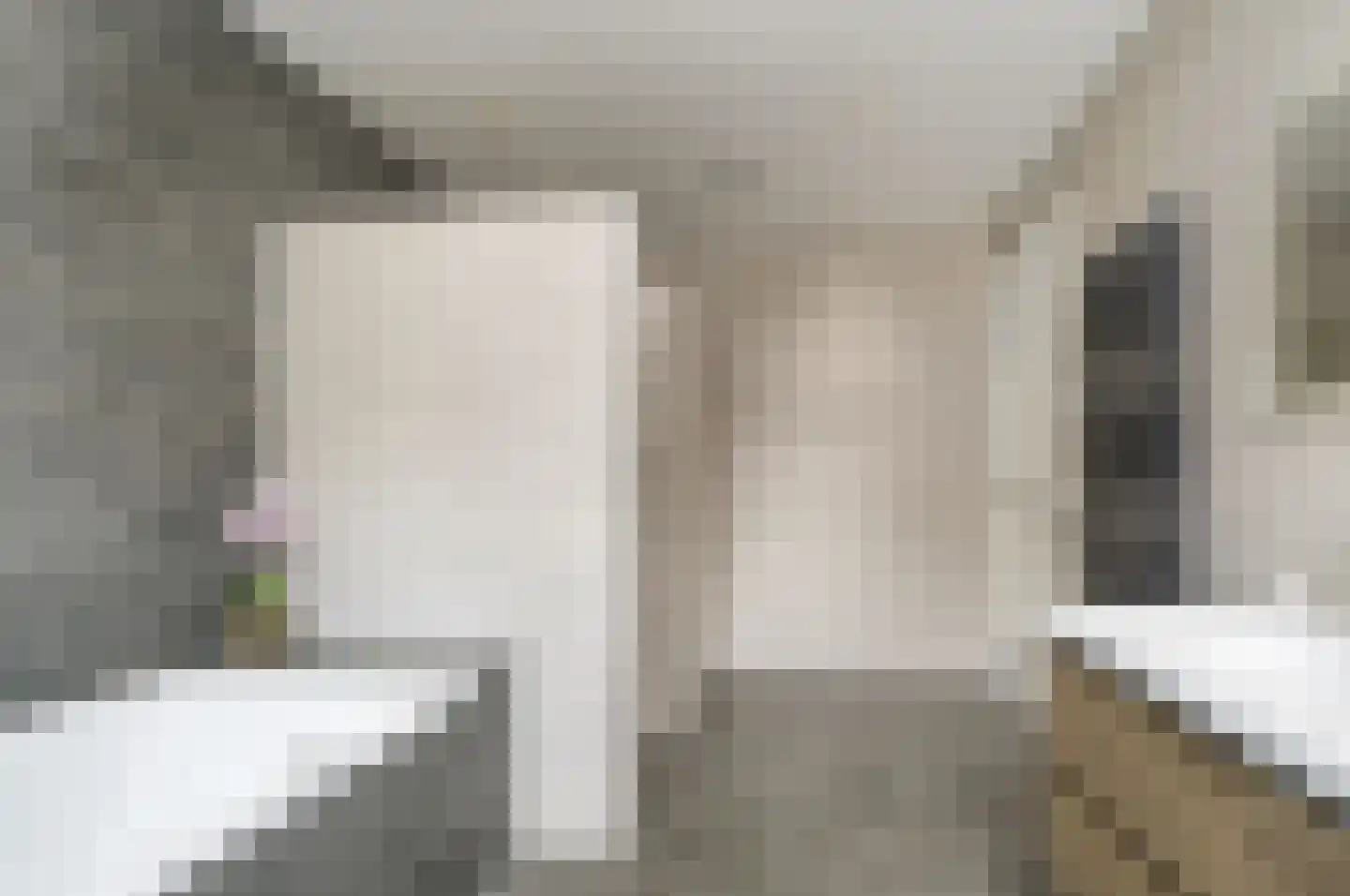 Pastoor Willenborgstraat 7 Veghel thumbnail 36