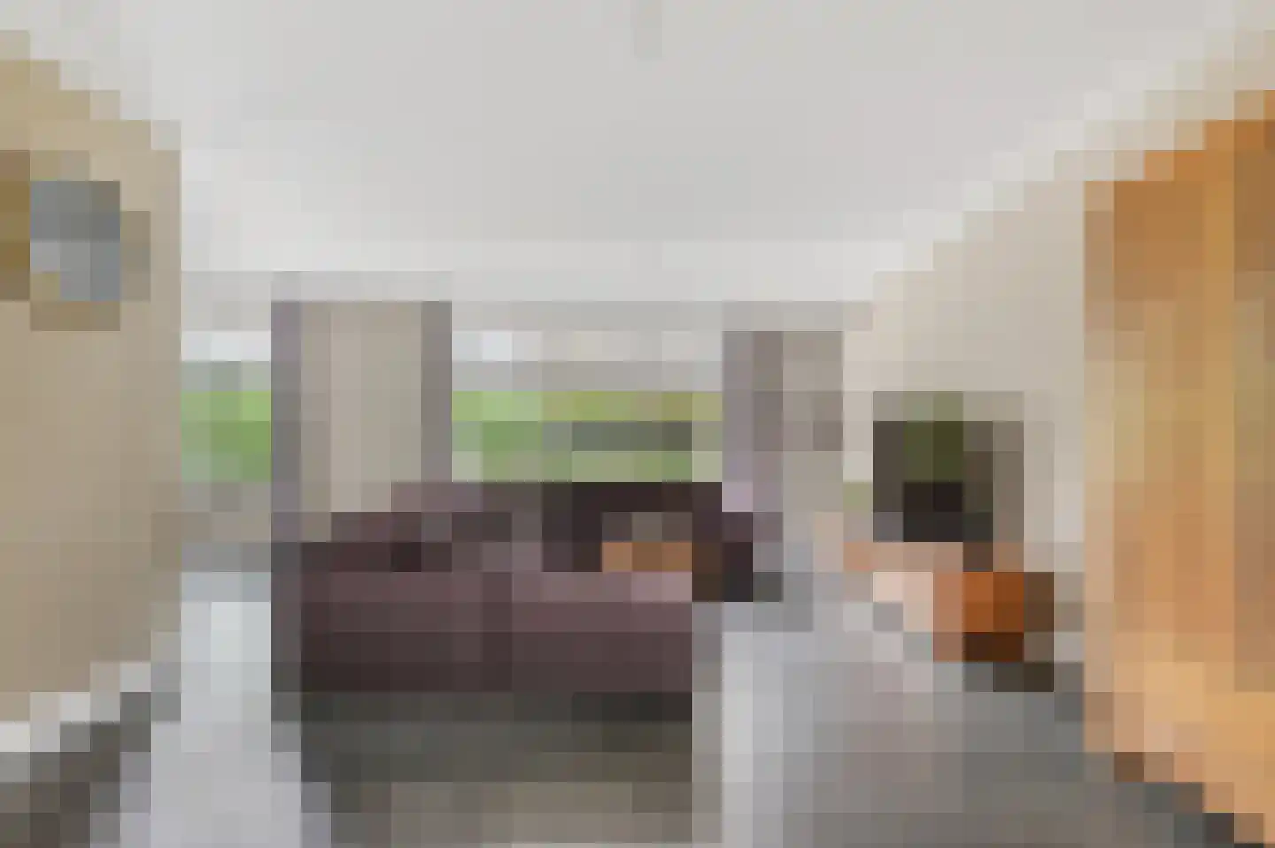 Pastoor Willenborgstraat 7 Veghel thumbnail 5
