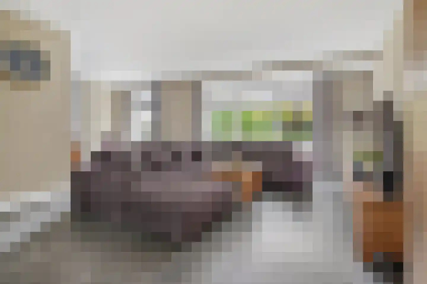 Pastoor Willenborgstraat 7 Veghel thumbnail 6