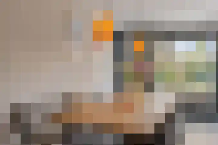 Pastoor Windhausenlaan 15 Steyl thumbnail 19