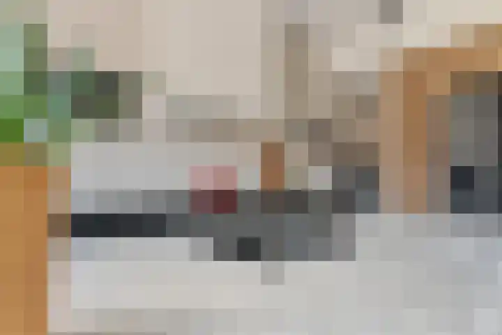 Pastoor Windhausenlaan 15 Steyl thumbnail 26