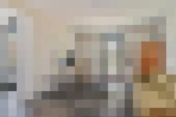 Pastoor Windhausenlaan 15 Steyl thumbnail 35
