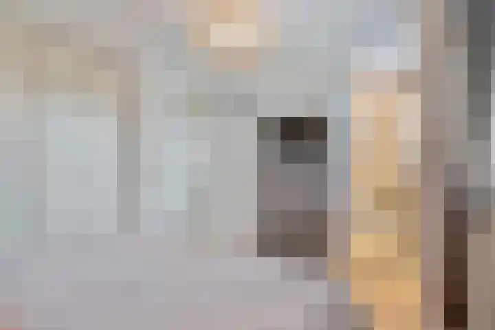 Pastoor Windhausenlaan 15 Steyl thumbnail 43