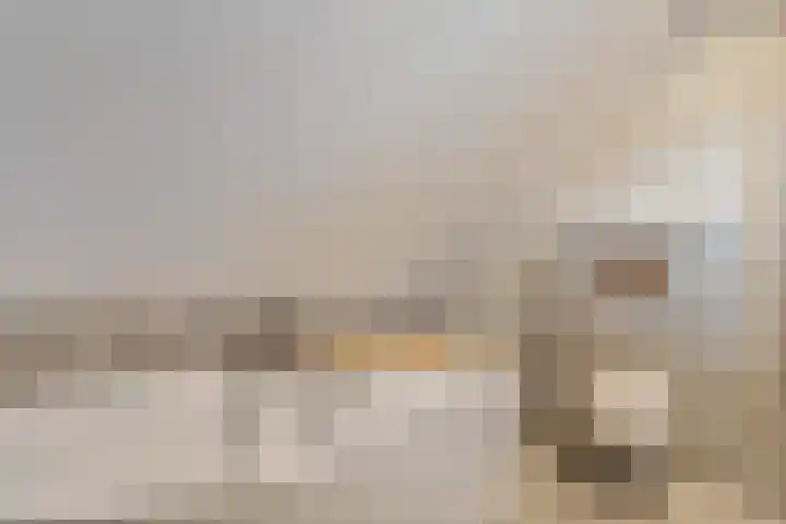 Pastoor Windhausenlaan 15 Steyl thumbnail 47