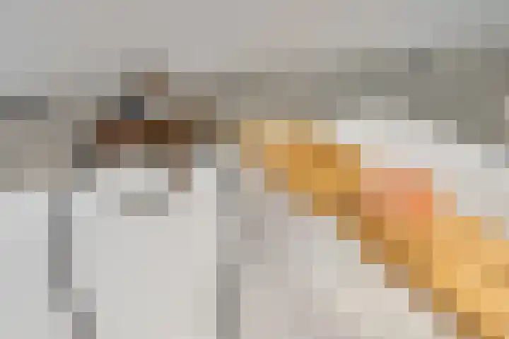 Pastoor Windhausenlaan 15 Steyl thumbnail 48