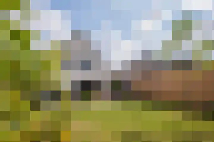 Pastoor Windhausenlaan 15 Steyl thumbnail 5