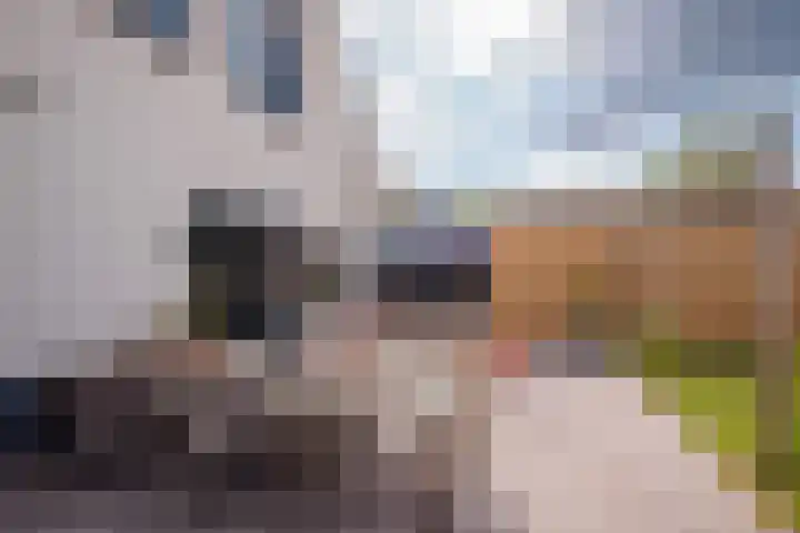 Pastoor Windhausenlaan 15 Steyl thumbnail 58