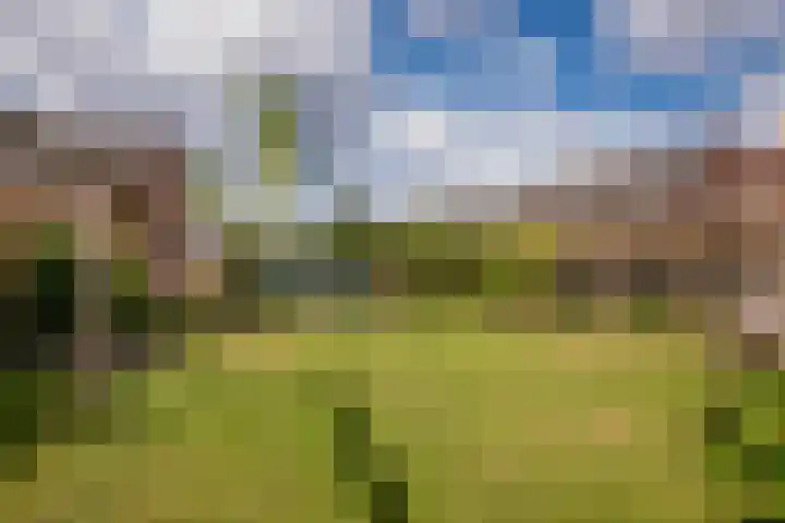 Pastoor Windhausenlaan 15 Steyl thumbnail 61