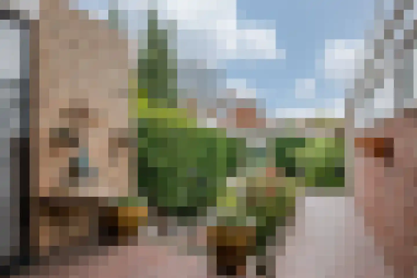 Pastoor Windhausenlaan 18 Steyl thumbnail 32